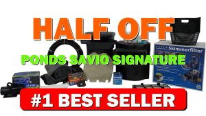 HALF OFF PONDS Savio Signature 6,100 GPH Submersible Pump Pond Kit with - B007KPEDRE