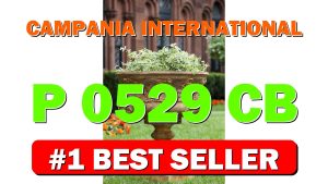 Campania International P-0529-CB 2Piece Smithsonian Morning Glory Urn, Copper Bronze Fi - B01MQRYTTY