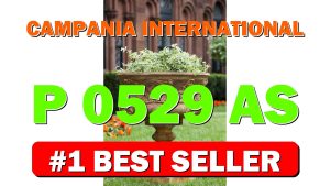 Campania International P-0529-AS 2Piece Smithsonian Morning Glory Urn, Alpine Stone Fin - B01N1O802H