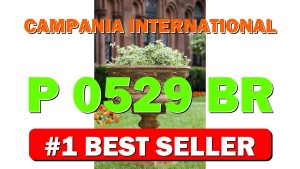 Campania International P-0529-BR 2Piece Smithsonian Morning Glory Urn, Brown Stone Fini - B01N5BA5IU