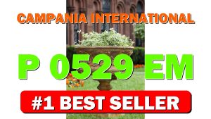 Campania International P-0529-EM 2Piece Smithsonian Morning Glory Urn, English Moss Fin - B01NBG30EE