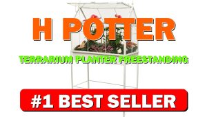 H Potter Terrarium Planter Freestanding Wardian Case (Large) - B0B1VX6F1L