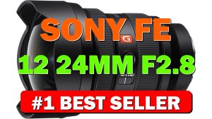 Sony FE 12-24mm F2.8 G Master Full-Frame Constant-Aperture Ultra-Wide Zoom Lens (SEL122 - B08CHN22SJ