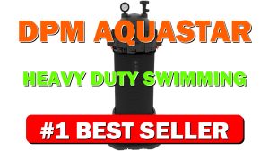 DPM AquaStar Heavy Duty Swimming Pool and Spa Pipeline Cartridge Filter | - B0CP6HPK72