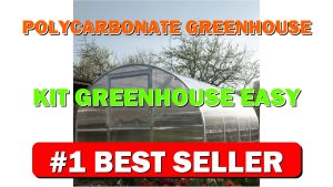 Polycarbonate Greenhouse Kit Greenhouse Easy Assembly & Heavy Duty Greenhouses - B0CZ4DP9RM