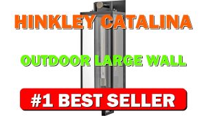 Hinkley Catalina Outdoor Large Wall Mount Lantern, Clear Glass, Transitional, Aluminum, - B0D5ZSZM29