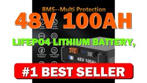 48V 100Ah LiFePO4 Lithium Battery, with 100A BMS Protection for RV, Solar - B0D8B4WJT9