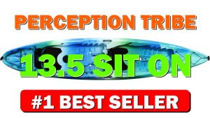 Perception Tribe 13.5 Sit on Top Tandem Kayak for All-Around Fun Large - B07WDLV31Q