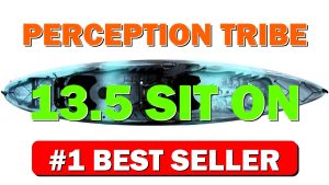 Perception Tribe 13.5 Sit on Top Tandem Kayak for All-Around Fun Large - B07WJYS7QB