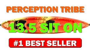 Perception Tribe 13.5 Sit on Top Tandem Kayak for All-Around Fun Large - B07WQ6NZH8